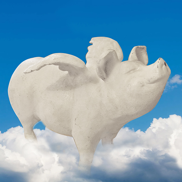 Decorative image of a pig with lifted wings, standing on a cloud against a deep blue sky