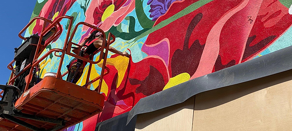 Aron Rook stands on a scaffold several feet above the ground to paint the flower mural. She is wearing black pants and tank shirt, and a red safety harness. She is very slender and has muscular arms.
