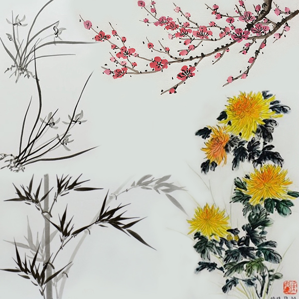 This montage shows four botanical drawings representing the four basic brush patterns in Chinese painting. At left are the black-and-gray drawings: very angular, contrasty bamboo at the bottom and the grass-like stems of orchids. At right are a bushy chrysanthemum plant with four big orange-yellow spider-mum blooms, and two long branches of flowering plum tree with several dozen small dark-pink flowers and buds all along the twigs.